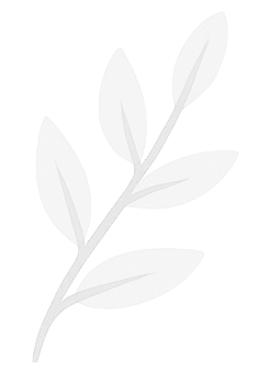 bg flower